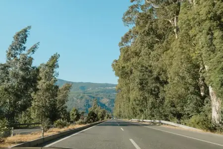 Autostrăzile Sloveniei și informații despre achiziționarea vinietei pentru 2025