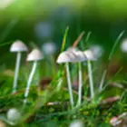 Comfortable travel on Czech motorways