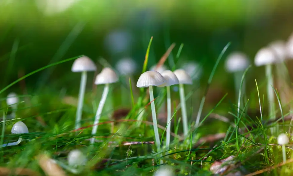 Comfortable travel on Czech motorways