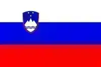 Slovenia - ÎNREGISTRAREA VEHICULULUI 2025